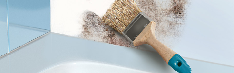 AGO - Set de 4 pièces anti-moisissure - Concentré de haute qualité pour  éliminer les moisissures rapidement et durablement dans votre maison.AGO  Anti-moisissure et Stop moisissure - un super duo! : 
